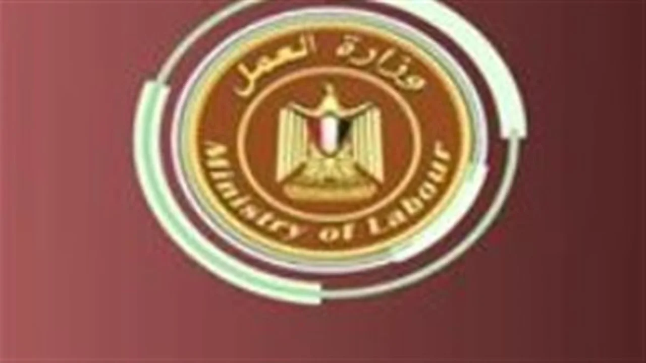 وظائف جديدة.. تدريب مدفوع في قطاع السيارات مع تأمين شامل